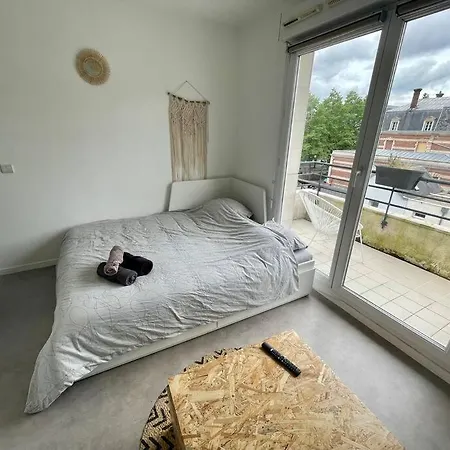 Le Studio Le Pasteur Avec Parking, Proche Quai *